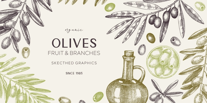 Olive oil banner design. Olives, tree branches, oil bottle sketches. Mediterranean food background in retro style. Hand-drawn vector illustration. NOT AI generated.